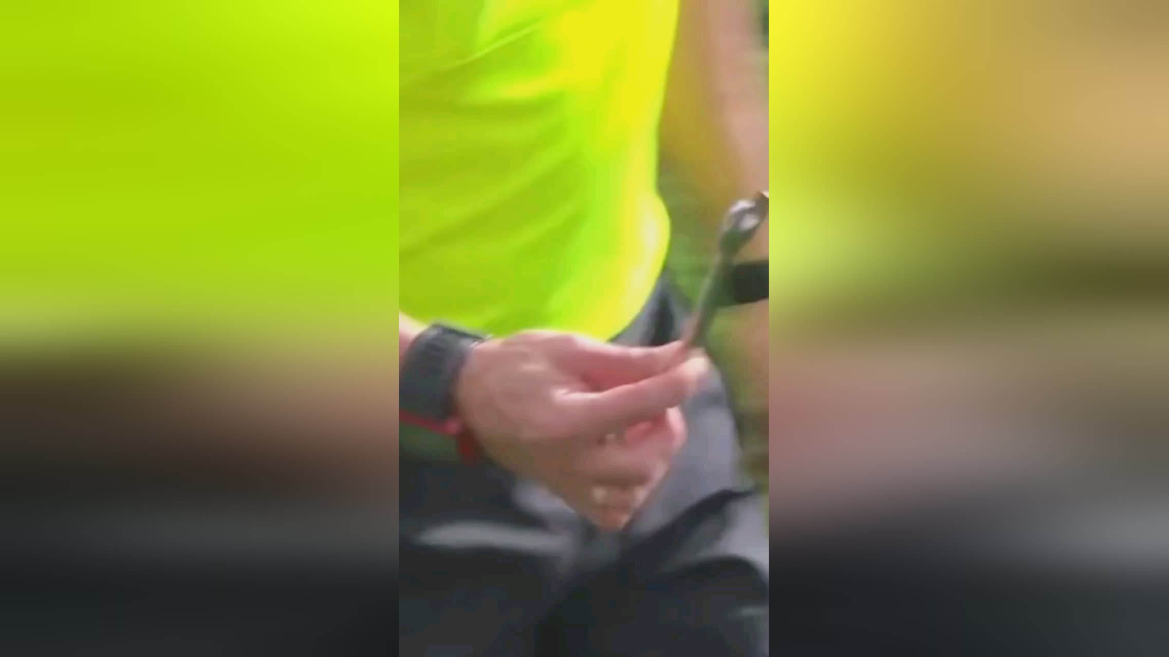 坚定的回应